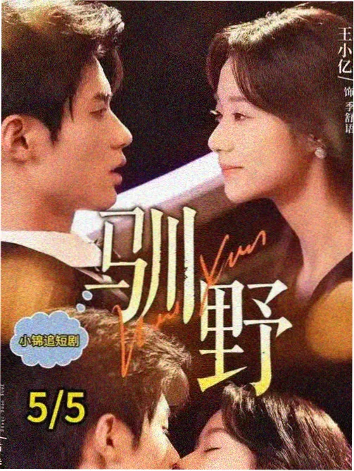 雨季电波档案大图，雨夜站台与信号灯